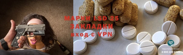 ГАЛЛЮЦИНОГЕННЫЕ ГРИБЫ Алексин