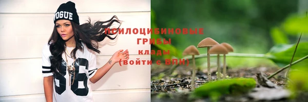 ГАЛЛЮЦИНОГЕННЫЕ ГРИБЫ Алексин