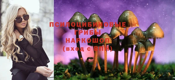 PSILOCYBIN Алексеевка