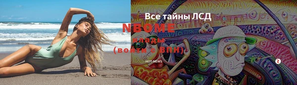 ГАЛЛЮЦИНОГЕННЫЕ ГРИБЫ Алексин
